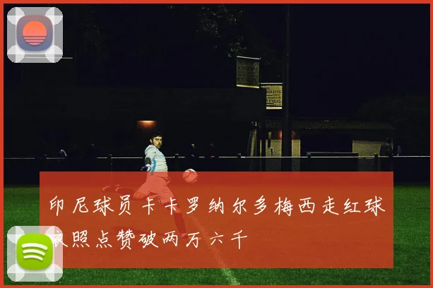 印尼球员卡卡罗纳尔多梅西走红球衣照点赞破两万六千