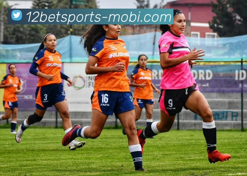 App Interface Preview